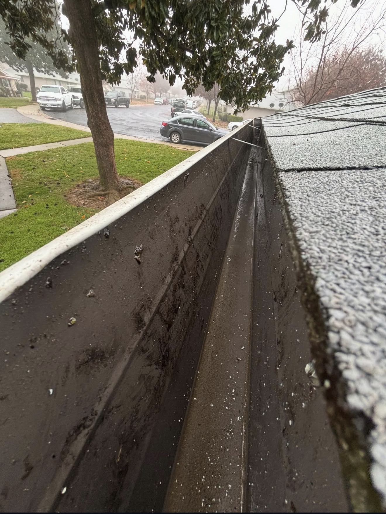 Gutter Cleaning