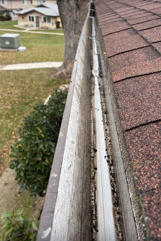 Gutter Cleaning