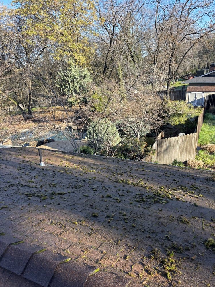 Path cleared of leaves and debris